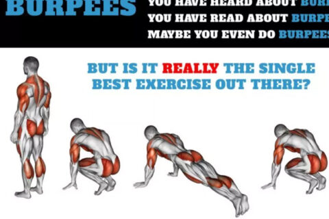 Exercises