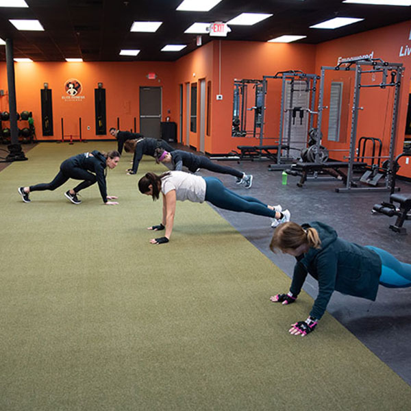 ELITE-Fitness-Alliance-5137-6x6